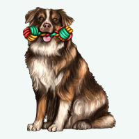 Australian Shepherd With Rope Toy Premium Hoodie | Teevron