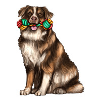 australian shepherd with rope toy | Teevron