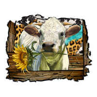 charolais heifer with western background | Teevron