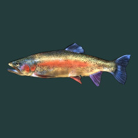Rainbow Trout Classic Tee | Teevron