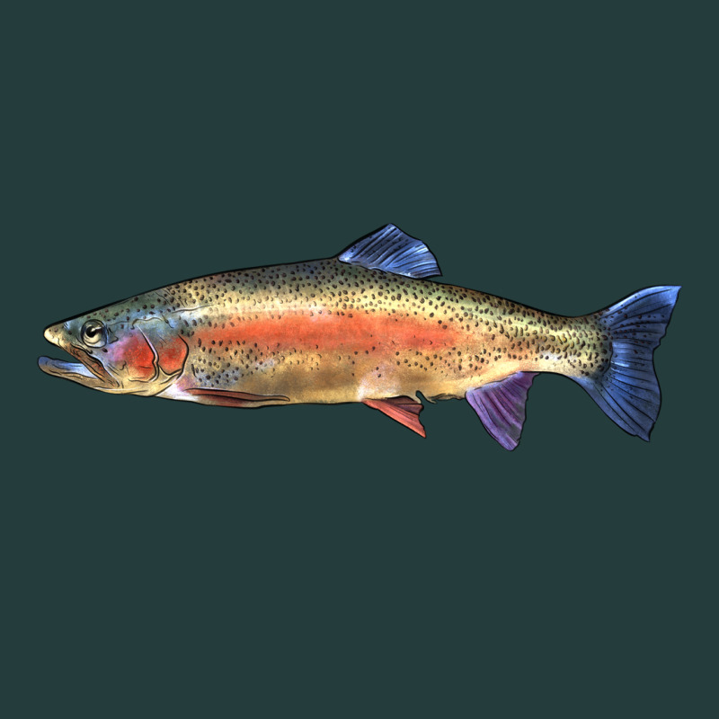 Rainbow Trout Classic Tee by LillyAllenDesigns | Teevron