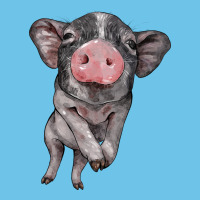 Baby Pig Premium Sweatshirt | Teevron