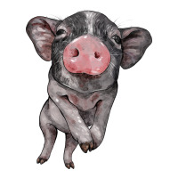 baby pig | Teevron