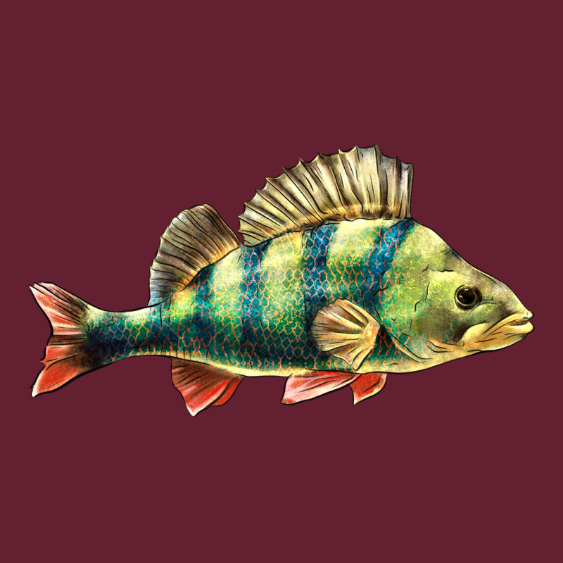 Perch Fish Classic Tee by LillyAllenDesigns | Teevron