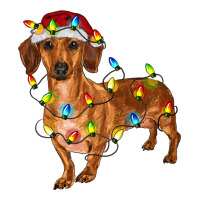 dachshund with christmas lights | Teevron