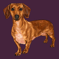 Dachshund Premium Tee | Teevron
