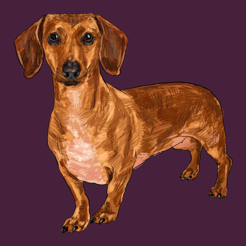 Dachshund Premium Tee by RanaPortraitStore | Teevron