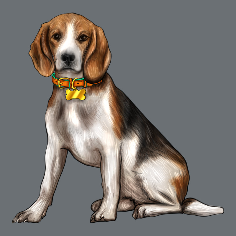 Beagle With Overflow Premium Hoodie by texasbilliewilder | Teevron