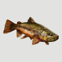 Brown Trout Classic Tee | Teevron