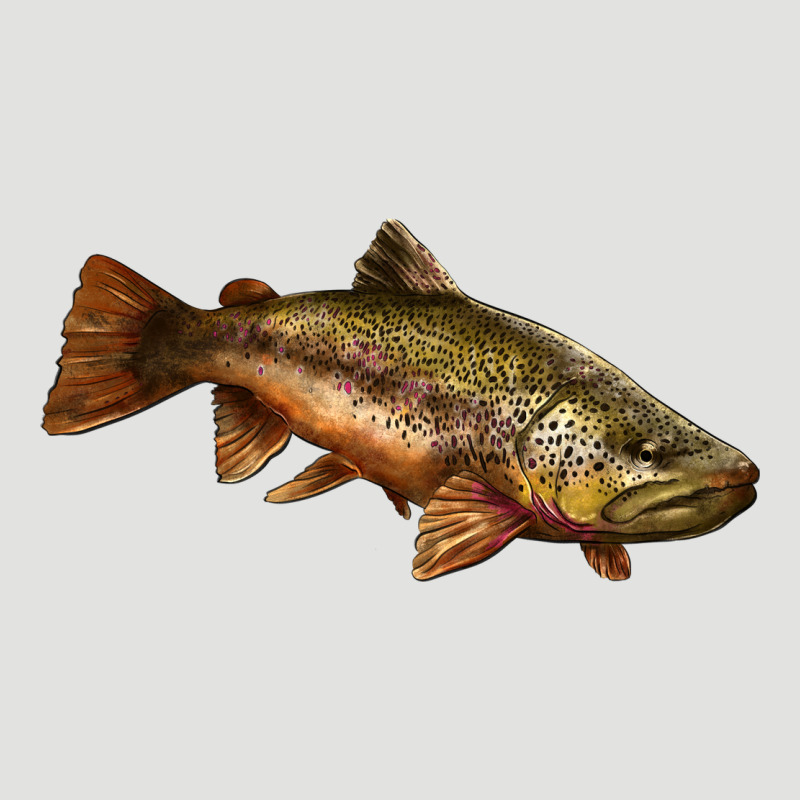 Brown Trout Classic Tee by LillyAllenDesigns | Teevron