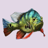 Peacock Bass Illustrations Classic Tee | Teevron