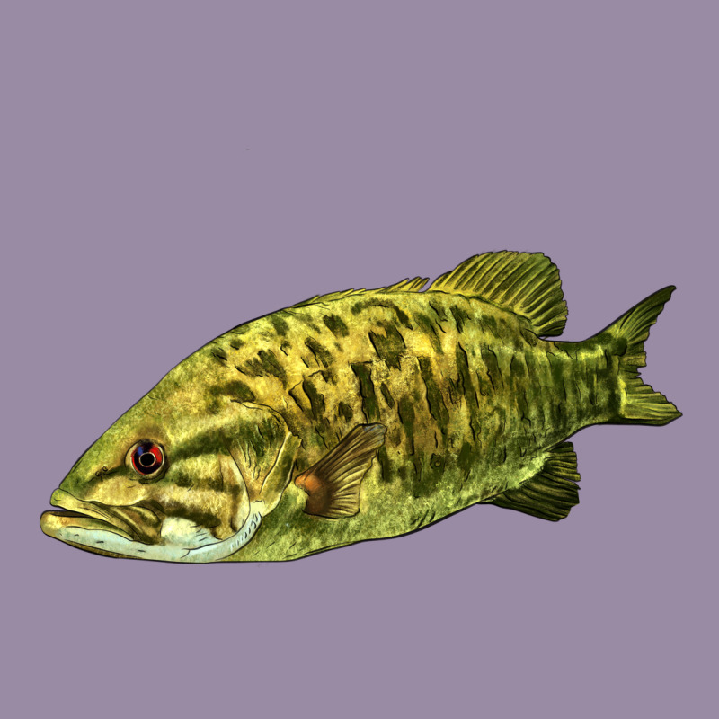 Smallmouth Bass Fish Illustrations Classic Tee by LillyAllenDesigns | Teevron