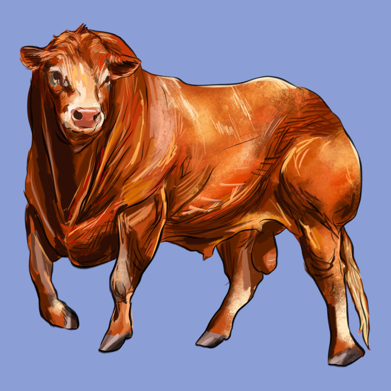 Red Angus Bull Long Sleeve Tee by LillyAllenDesigns | Teevron