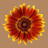 Little Becka Sunflower Long Sleeve Tee | Teevron