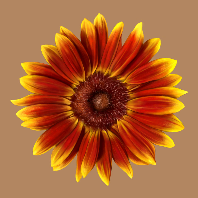 Little Becka Sunflower Long Sleeve Tee by LillyAllenDesigns | Teevron
