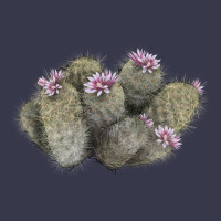 Cob Beehive Cactus Long Sleeve Tee | Teevron