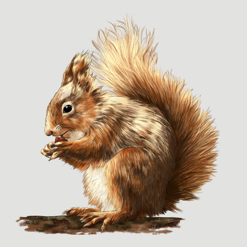 Squirrels Classic Tee by LillyAllenDesigns | Teevron