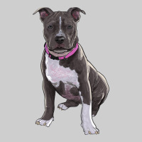 Pitbull Premium Tee | Teevron