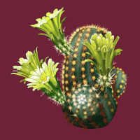 Nylon Hedgehog Cactus Long Sleeve Tee | Teevron