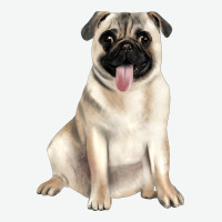 Pug Urban Heavy Tee | Teevron
