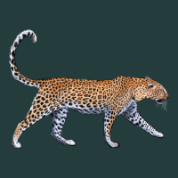 Leopard Classic Tee | Teevron