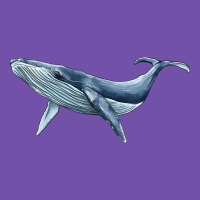 Humpback Whale Premium Sweatshirt | Teevron