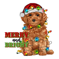 merry and bright toy poodle | Teevron