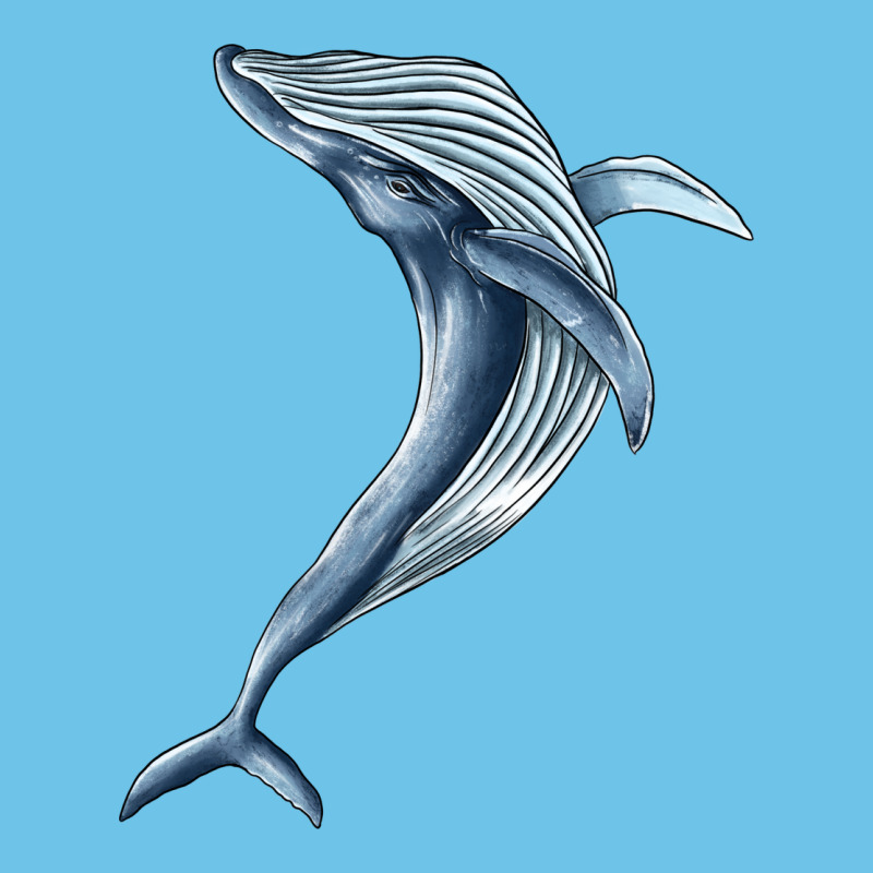 Humpback Whale Jumping Premium Sweatshirt by BarkalooDesign | Teevron