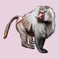 Baboon Classic Tee | Teevron