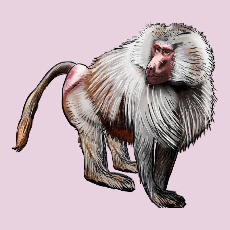 Baboon Classic Tee by LillyAllenDesigns | Teevron