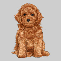 Toy Poodle Premium Tee | Teevron