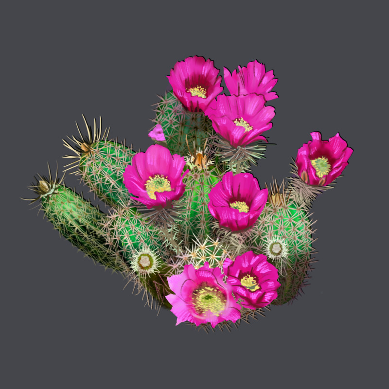 Strawberry Hedgehog Cactus Long Sleeve Tee by LillyAllenDesigns | Teevron