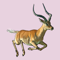 Impala Antelope Illustrations Classic Tee | Teevron