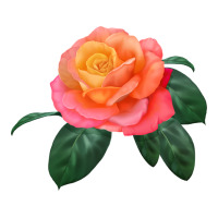 chicago peace rose | Teevron