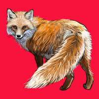 Red Fox Classic Tee | Teevron