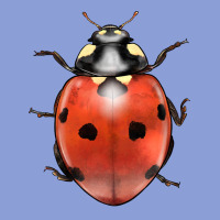 Lady Bug Long Sleeve Tee | Teevron