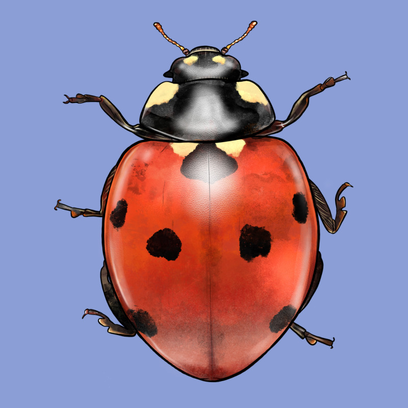 Lady Bug Long Sleeve Tee by LillyAllenDesigns | Teevron