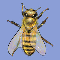 Bee Long Sleeve Tee | Teevron