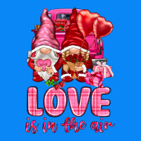 Love Is In The Air With Gnomies Zipper Hoodie | Teevron