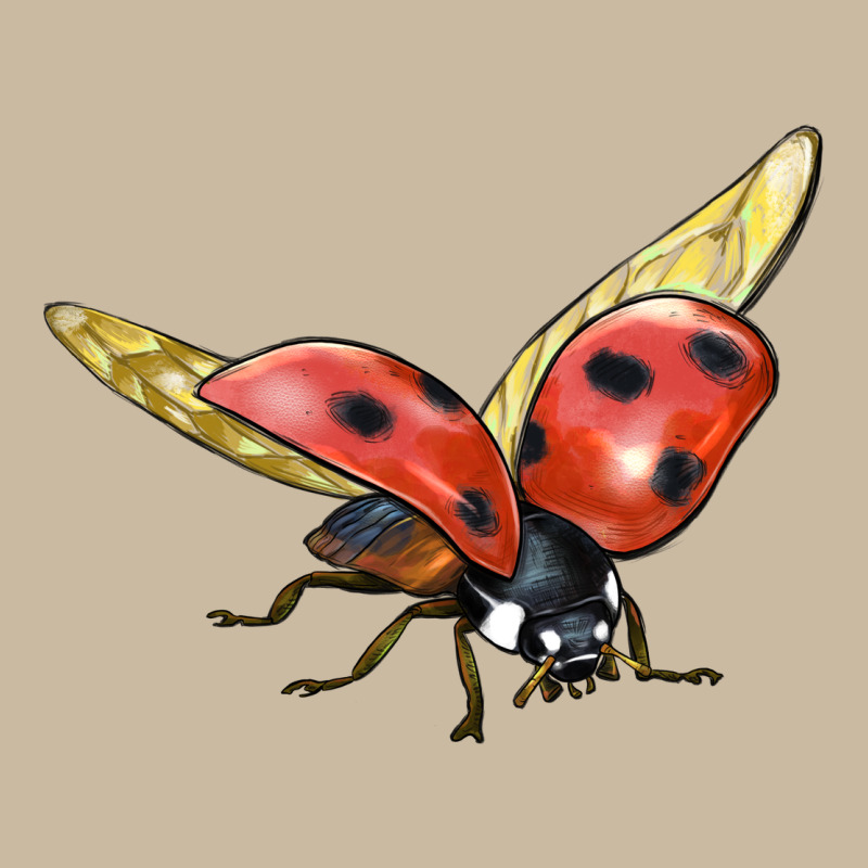 Ladybug Flying Long Sleeve Tee by LillyAllenDesigns | Teevron