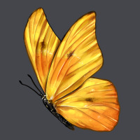 Flying Cloudless Sulphur Butterfly Long Sleeve Tee | Teevron