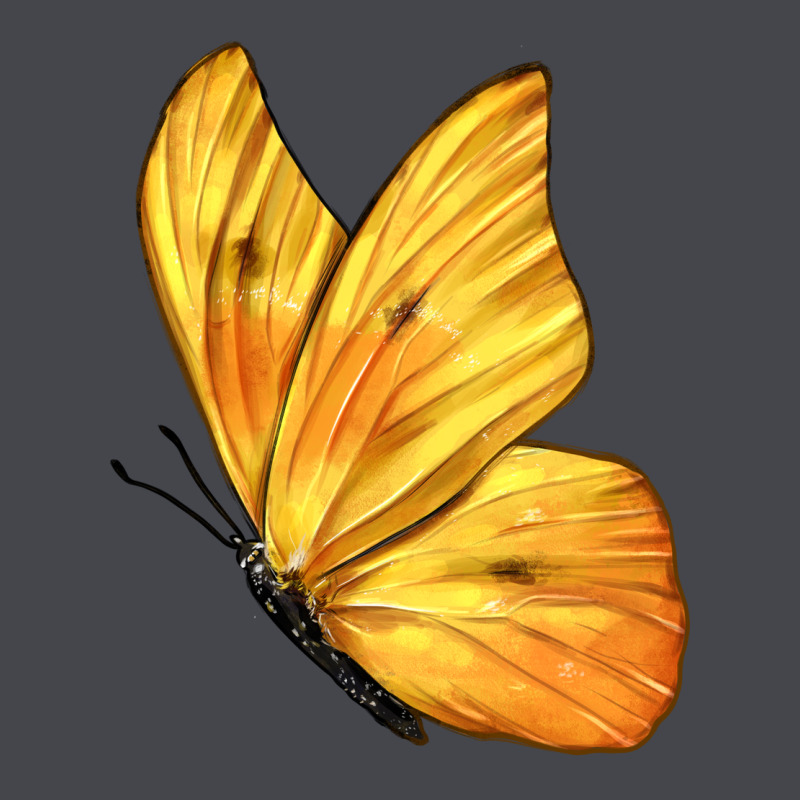 Flying Cloudless Sulphur Butterfly Long Sleeve Tee by LillyAllenDesigns | Teevron
