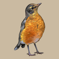 American Robin Bird Long Sleeve Tee | Teevron