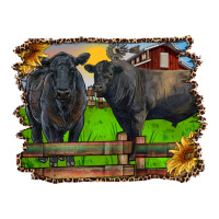black angus cattle and bull in barnyard | Teevron
