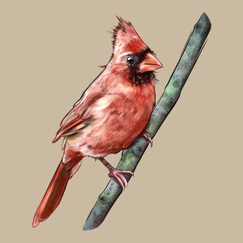 Northern Cardinal Bird Long Sleeve Tee by LillyAllenDesigns | Teevron