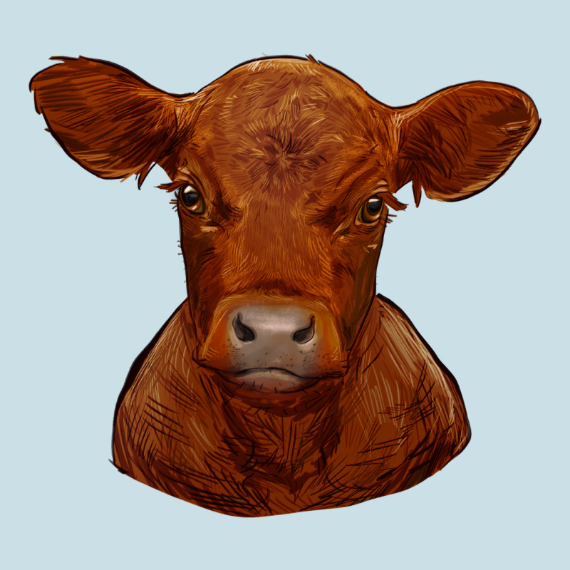 Red Angus Calf Ladies Tee by RanaPortraitStore | Teevron