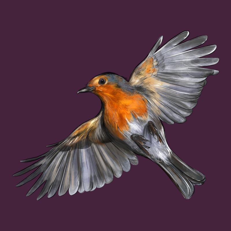 Flying American Robin Long Sleeve Tee by LillyAllenDesigns | Teevron