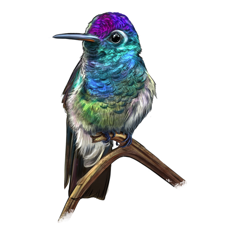 Rivoli`s Hummingbird Long Sleeve Tee by LillyAllenDesigns | Teevron