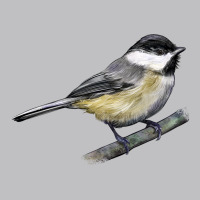 Black Capped Chickadee Long Sleeve Tee | Teevron