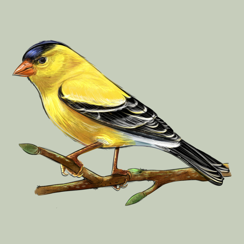 American Goldfinch Long Sleeve Tee by LillyAllenDesigns | Teevron